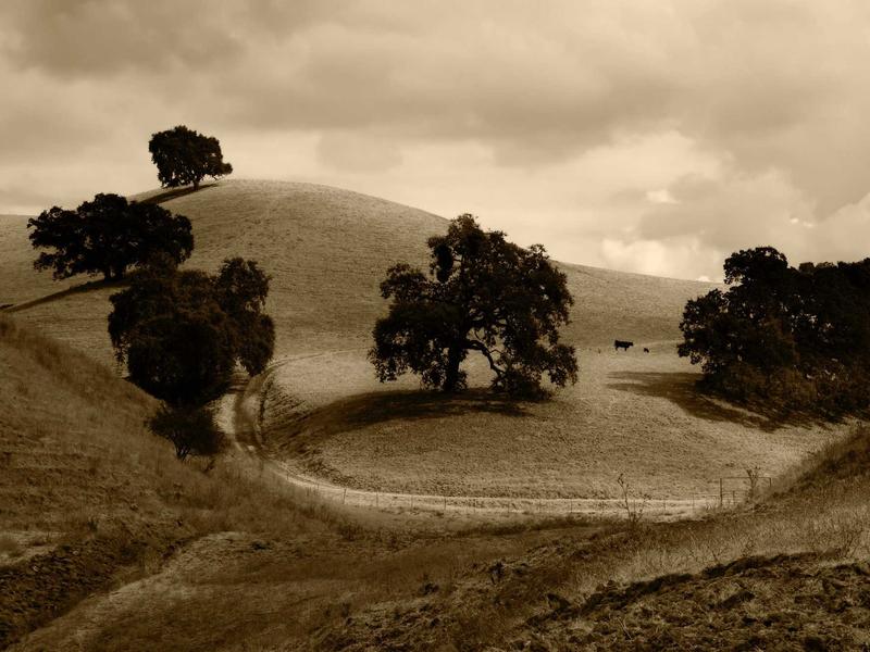 sudoku cloud sync screenshot 4
