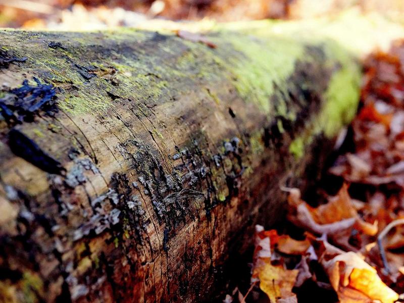 sudoku grid completion screenshot 4